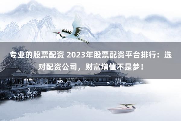 专业的股票配资 2023年股票配资平台排行：选对配资公司，财富增值不是梦！