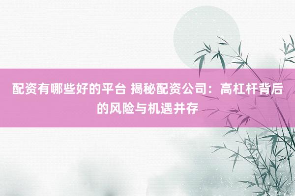 配资有哪些好的平台 揭秘配资公司：高杠杆背后的风险与机遇并存