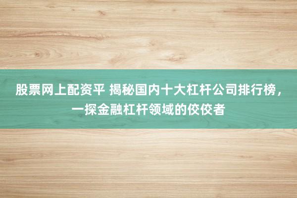 股票网上配资平 揭秘国内十大杠杆公司排行榜，一探金融杠杆领域的佼佼者
