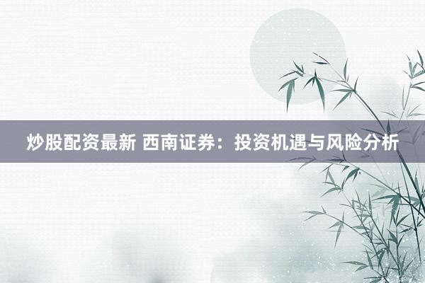 炒股配资最新 西南证券：投资机遇与风险分析