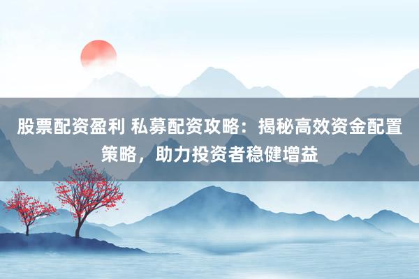 股票配资盈利 私募配资攻略：揭秘高效资金配置策略，助力投资者稳健增益