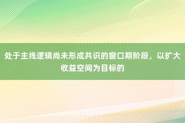 处于主线逻辑尚未形成共识的窗口期阶段，以扩大收益空间为目标的