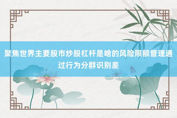 聚焦世界主要股市炒股杠杆是啥的风险限额管理通过行为分群识别差